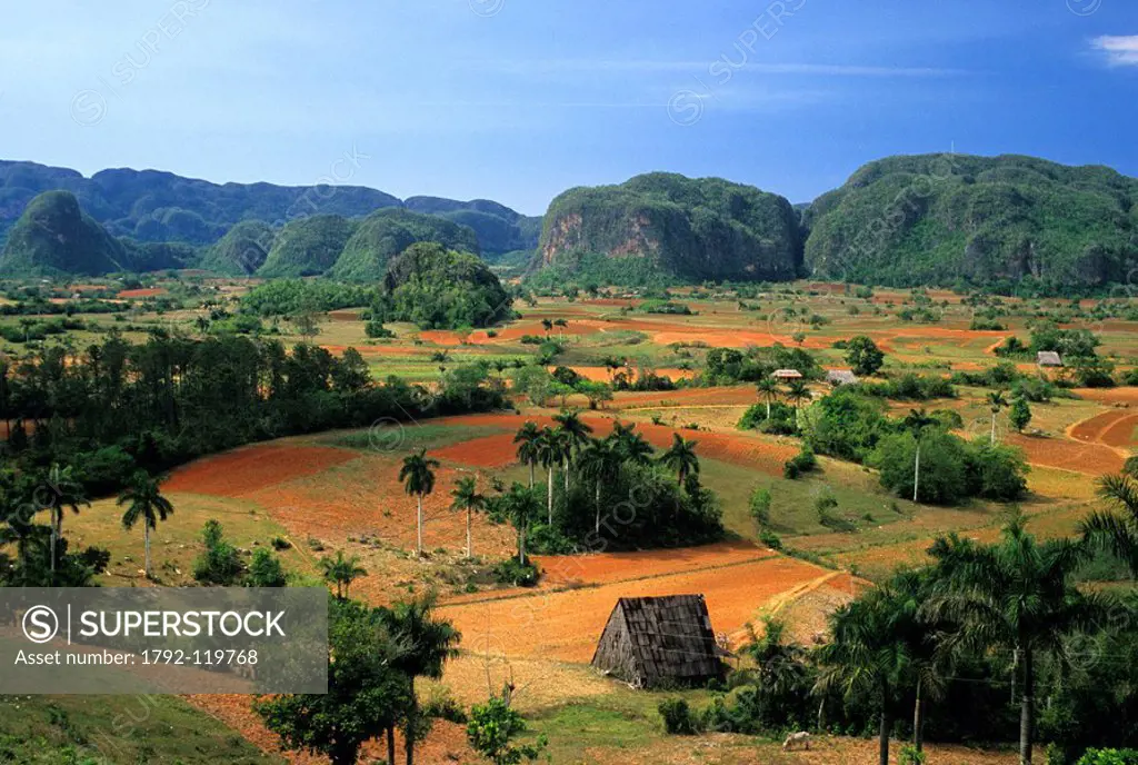 Cuba, Pinar del Rio Province, Vinales, Vinales Valley listed as World Heritage by UNESCO, panorama on the Mogotes forming the mountain range of Guanig...
