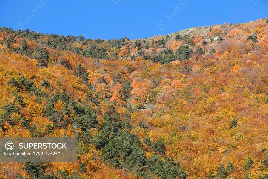 France, Alpes de Haute Provence, Parc National du Mercantour National Park of Mercantour, Val d´Allos