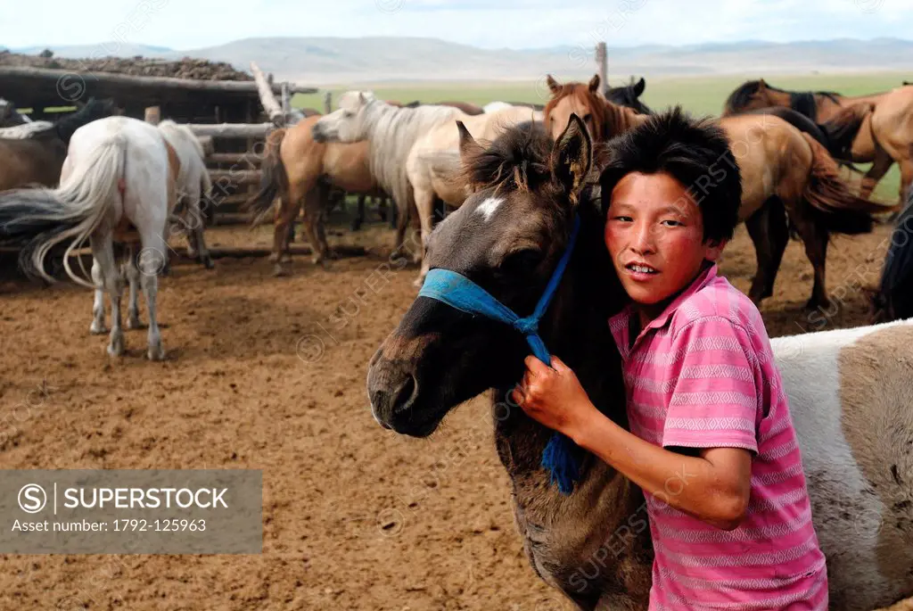 Mongolia, Hentii province, homeland of Genghis Khan, nomadic family installed around Binder, children sort the horses before milking