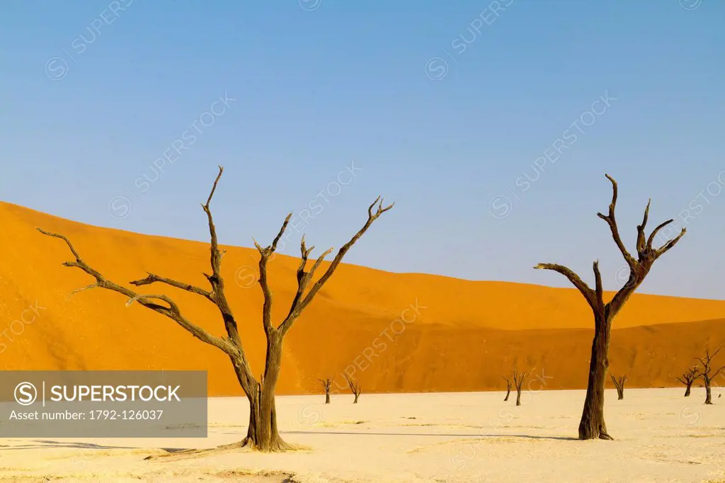 Namibia, Hardap region, Namib desert, Namib_Naukluft national park, Deadvlei
