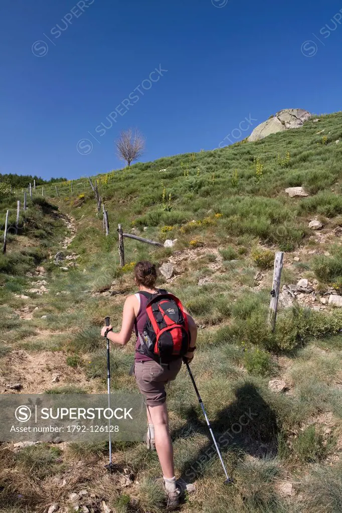 France, Ardeche, Massif du Tanargue, Monts d´Ardeche Regional Natural Park, Loubaresse, female hiker on the track of Pratarabiat Crests