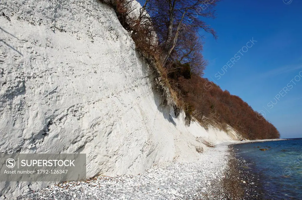 Germany, Mecklenburg_Western Pomerania, Ruegen island, National Park of Jasmund, listed as World Heritage by UNESCO, white´s chalk´s cliffs, pebble be...