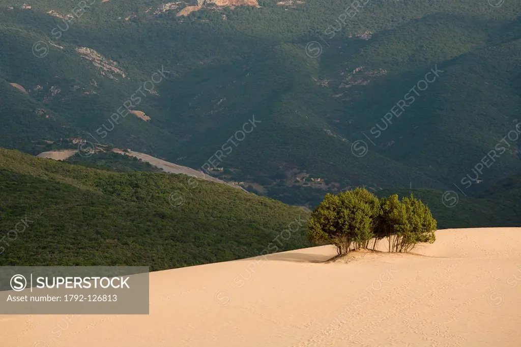Italy, Sardinia, Carbonia Iglesias province, Piscinas, les dunes de Piscinas