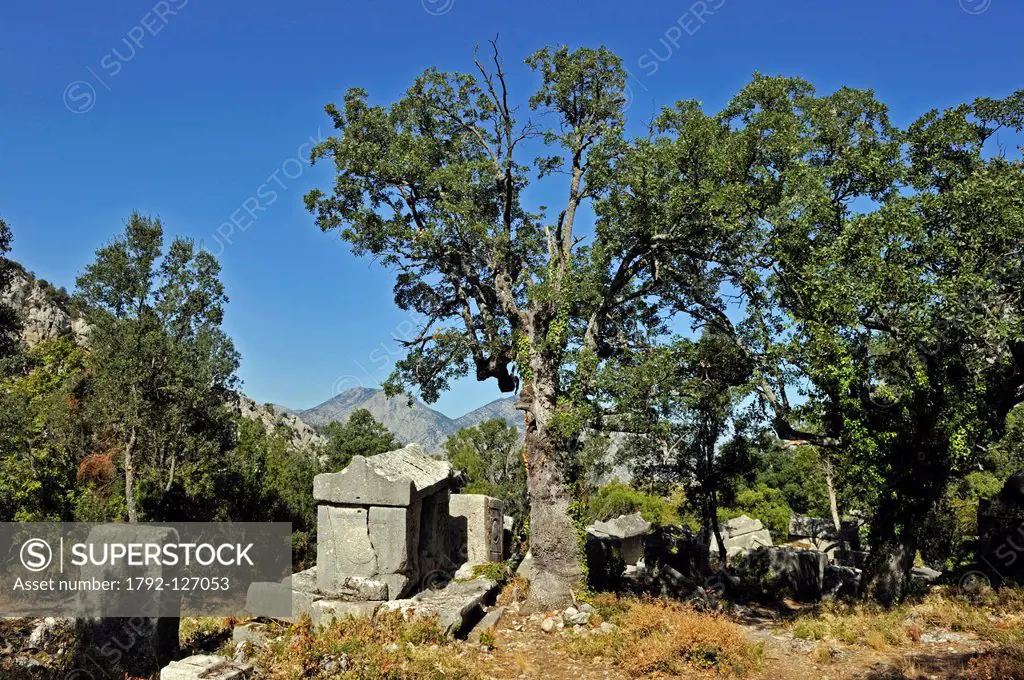 Turkey, Mediterranean Region, Turquoise Coast, Pamphylia, Termessos site, North necropolis