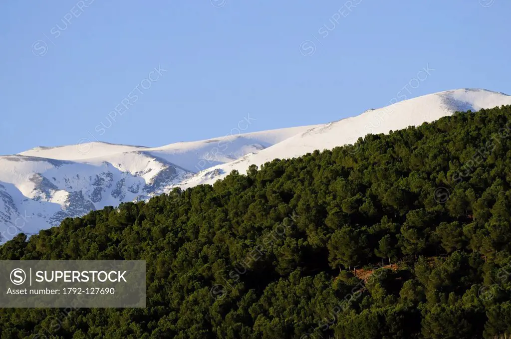 Spain, Andalucia, Sierra Nevada, Jerez del Marquesado, Cerro Trevelez in Spring