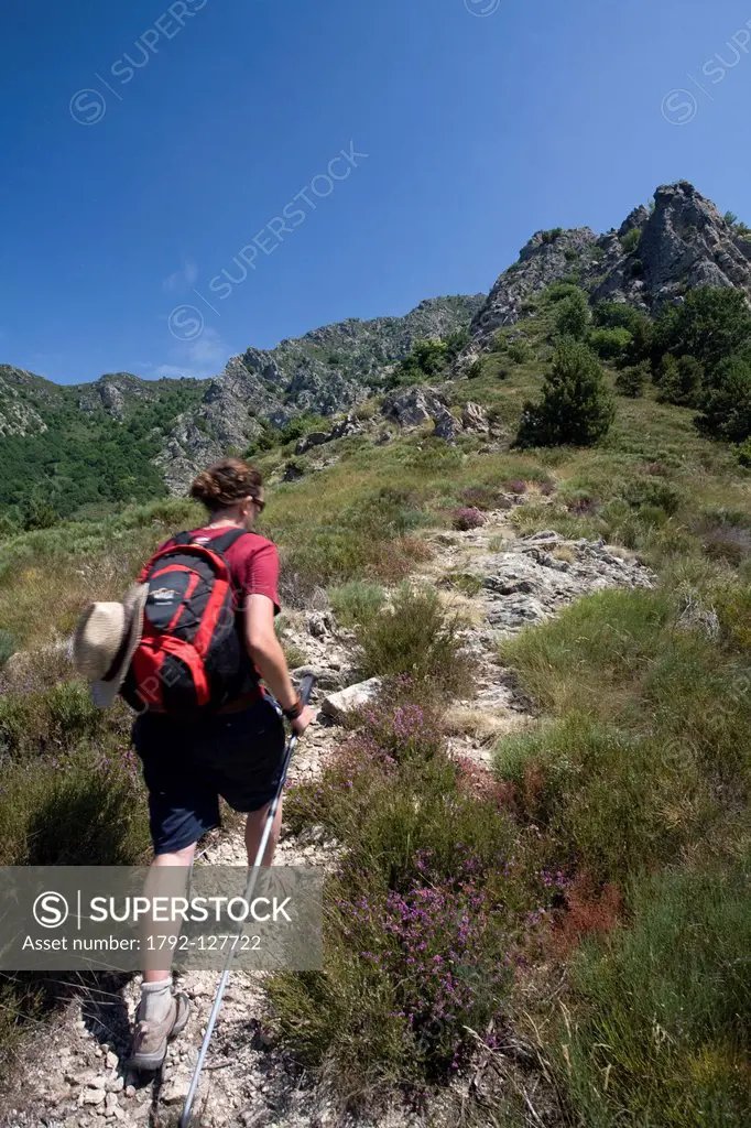 France, Ardeche, Massif du Tanargue, Monts d´Ardeche Regional Natural Park, Rocles, Bouteillac, hike around the Col du Merle, pass located on the hiki...