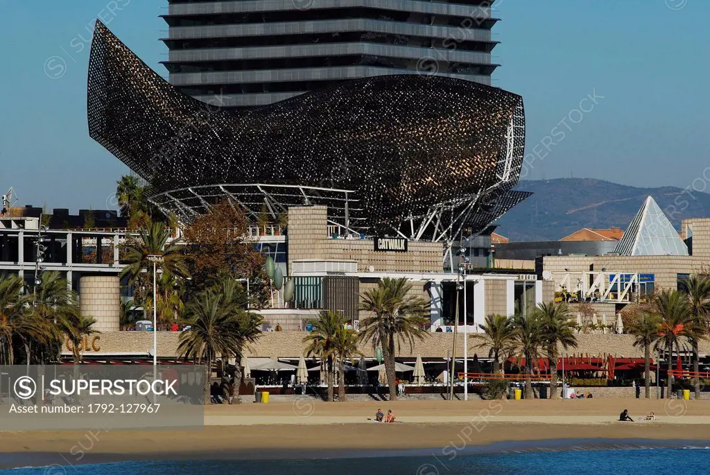 Spain, Catalonia, Barcelona, Barcelonata Beach, the Peix or the Ballena Whale by Frank O. Gehry and the Mapfre Insurances towers