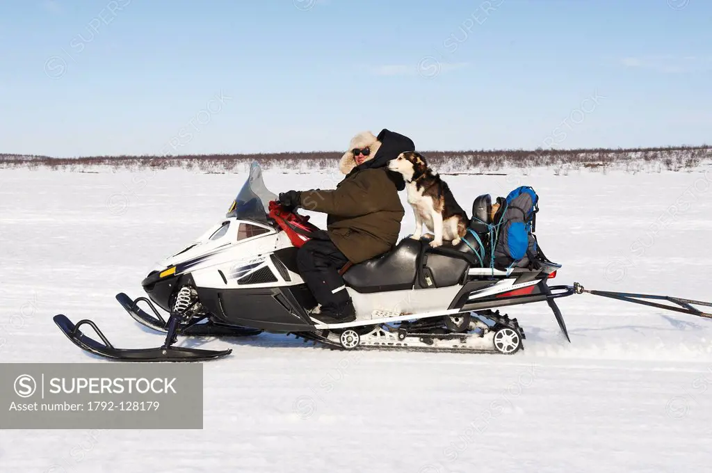 Norway, Lapland, Finnmark County, Karasjok, the great annual reinder migration the travel whit snow mobile to puttig in the camp