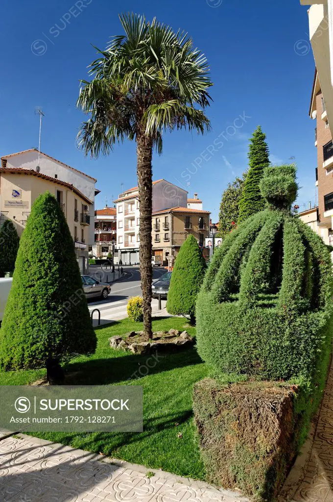 Spain, Extremadura, Losar de la Vera, trimmed trees in the city on the main street has become tourist attraction