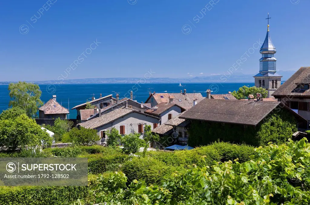 France, Haute Savoie, Yvoire, Leman Lake, labelled Les Plus Beaux Villages de France the Most Beautiful Villages of France, church steeple with onion ...