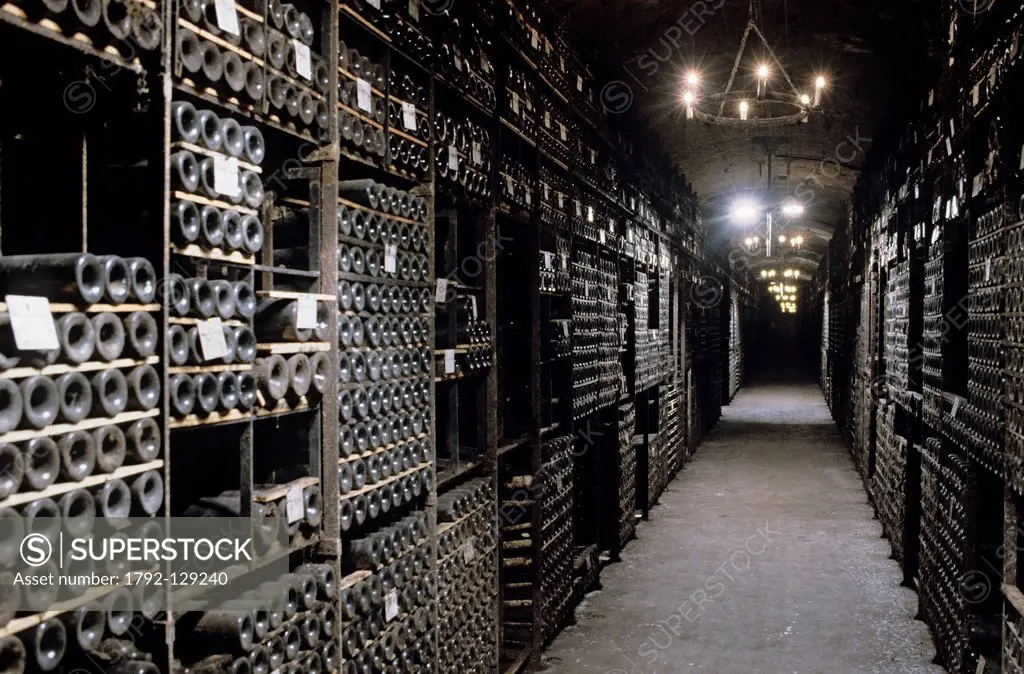 France, Gironde, Pauillac, Chateau Mouton Rothschild, cellar of the old vintage bottles