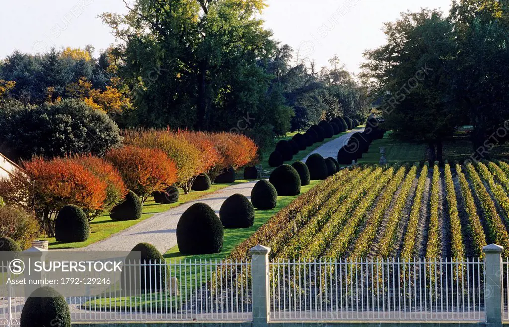 France, Gironde, Pauillac, Chateau Mouton Rothschild, vineyard and gardens