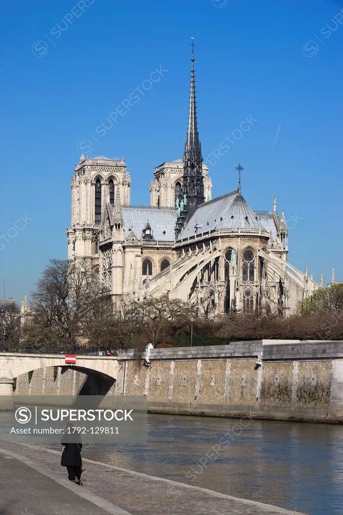 France, Paris, the Seine river banks listed as World Heritage by UNESCO and Notre Dame cathedral on Ile de la Cite