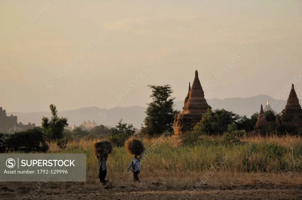 Myanmar Burma, Mandalay Division, Bagan Pagan, Old Bagan, temples and stupas