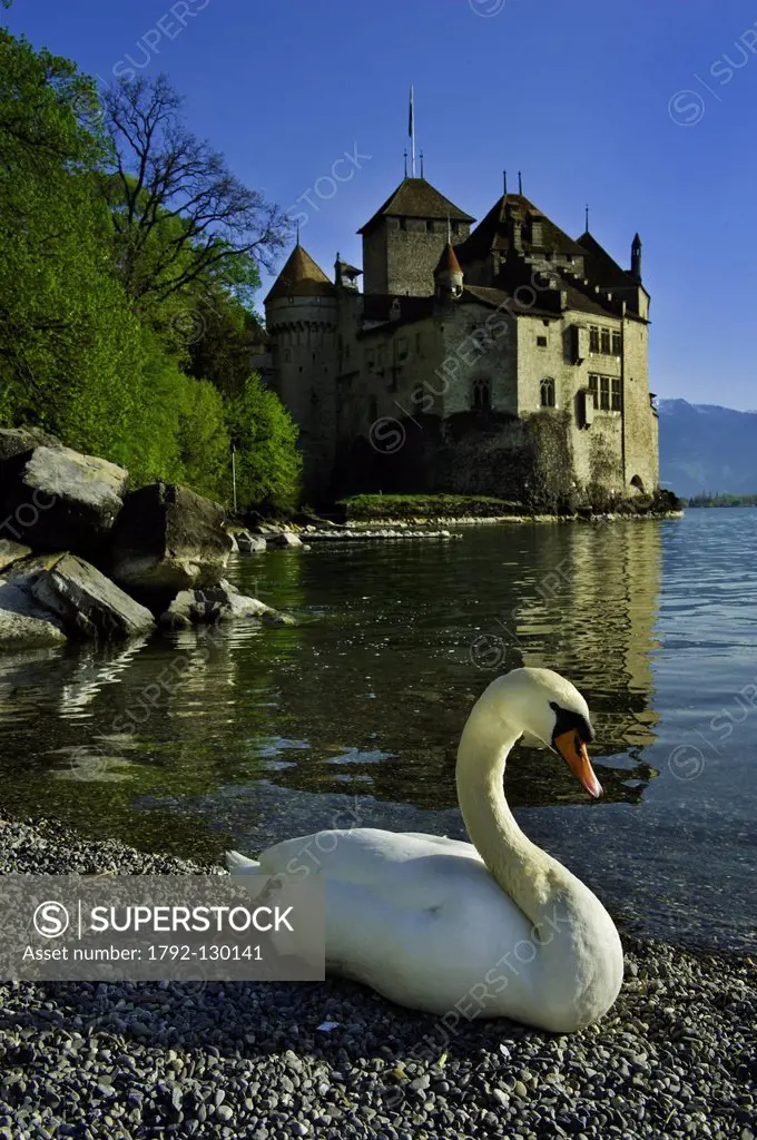 Suisse, Canton of Vaud, Leman lake, Chillon castle at the south of Montreux