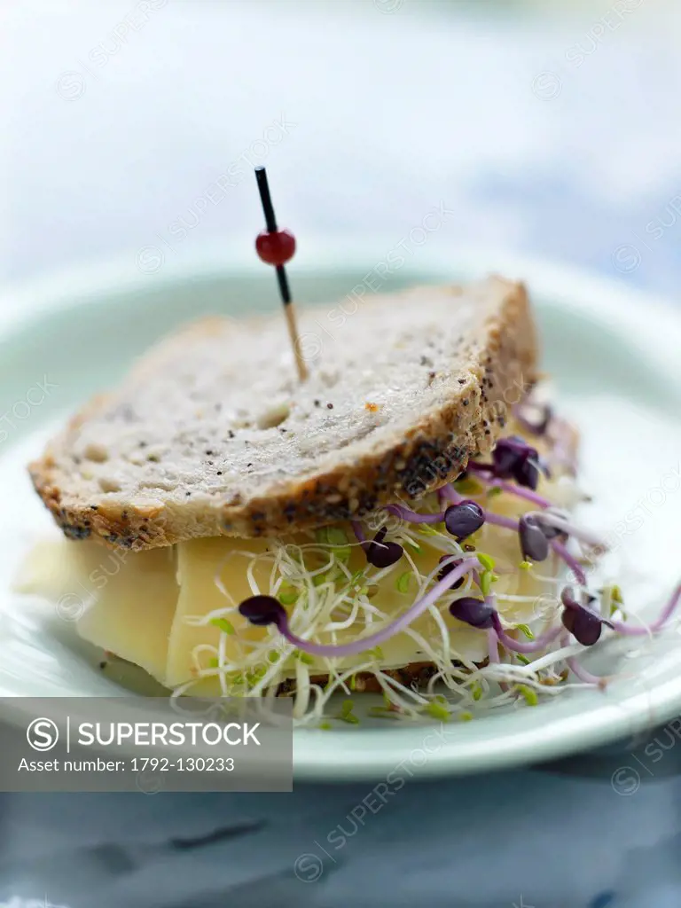 Netherlands, Amsterdam, feature: Amsterdam, Twenty Thousand Leagues Under the Sea, Dutch sandwich with sprouts and soya