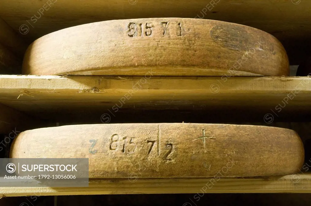 France, Doubs, Saint Antoine, fruiterer of cheese Comte AOC of Fort Saint Antoine, ripening cellar of cheese Comte AOC Marcel Petite, detail of a grin...