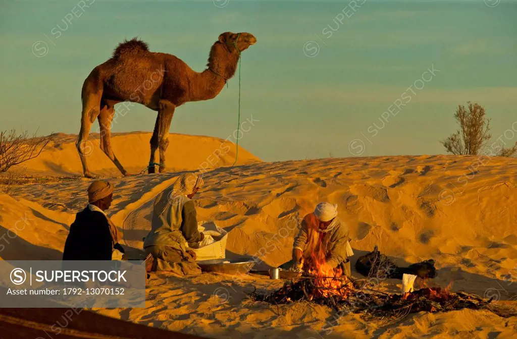 Tunisia, Southern region, region of Douz, Bedouin making bread