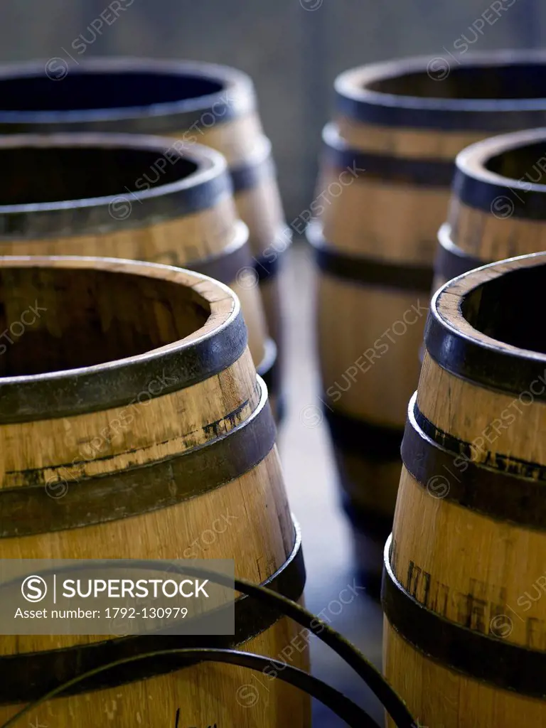 France, Cote d´Or, Beaune, feature: the Cooperage, Tricolored Fire, finished barrels