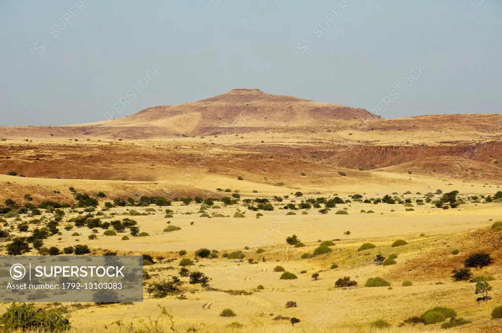Namibia, Damaraland, Palmwag Concession