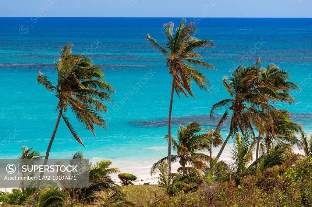 Bahamas, Eleuthera Island, Beach of The Sky beach Club Hotel