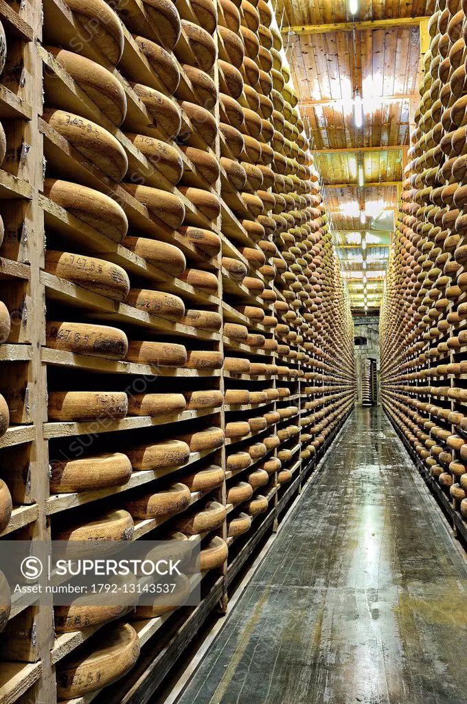 France, Doubs, Saint Antoine, Comte cheese repening cellar