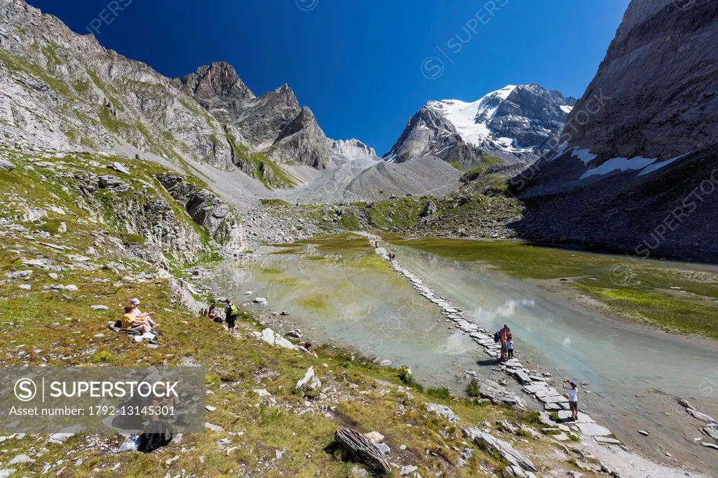 France, Savoie, Pralognan la Vanoise, Parc National de la Vanoise, GR55, path of the Col de la Vanoise, the Route du Sel et du Beaufort (Salt and Beau...