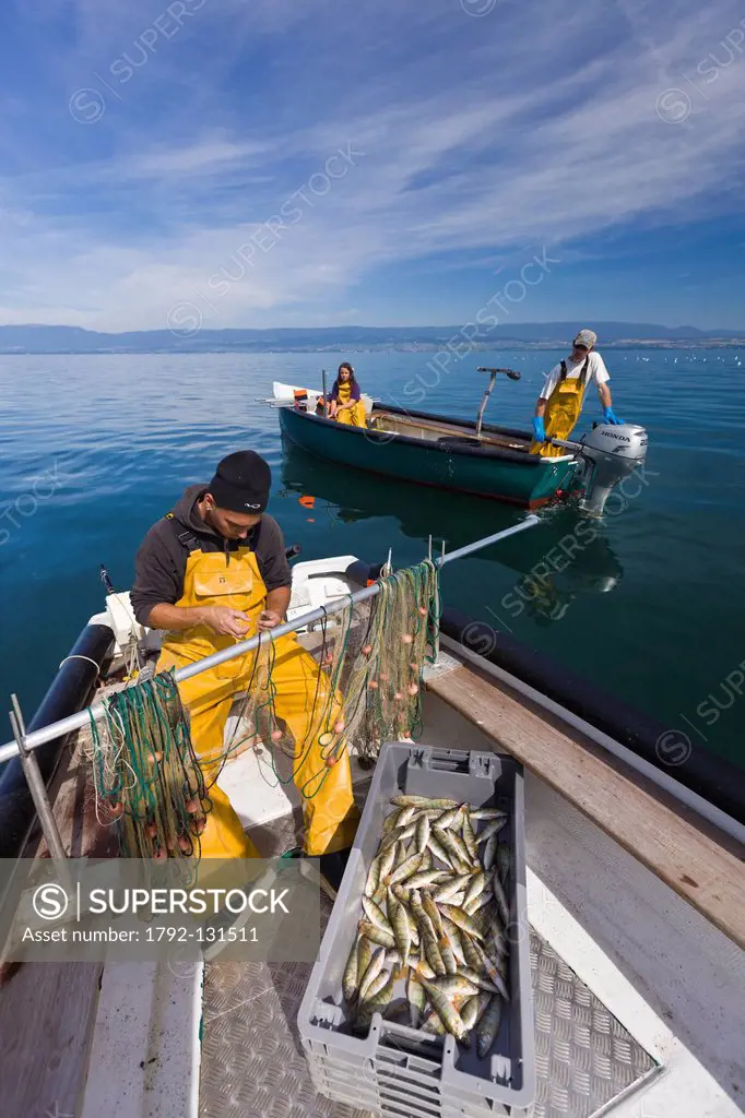 France, Haute Savoie, Le Chablais, Thonon les Bains, fisherman fishing perches and crawfishes on Lake Geneva