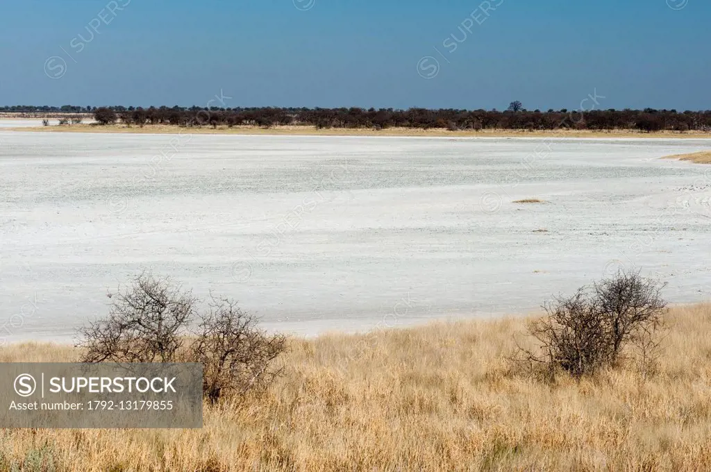 Botswana, Nxai Pan National Park, Kudiakam Pan