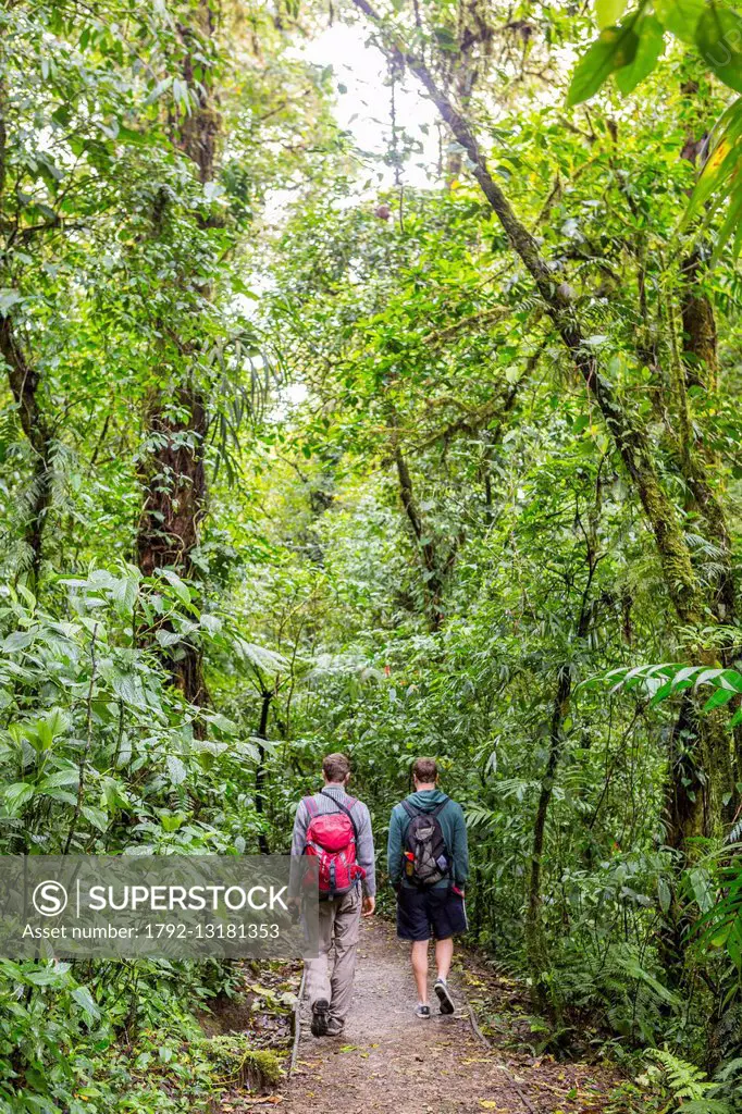 Costa Rica, Puntarenas province, Monteverde Cloud Forest, Reserva Biologica del Bosque (biological reserve of the cloud forest)