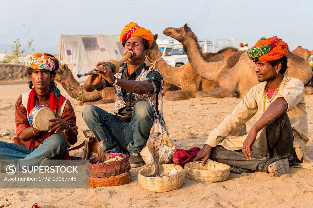 India, Rajasthan state, Pushkar, snake charmers at the Pushkar cattle fair