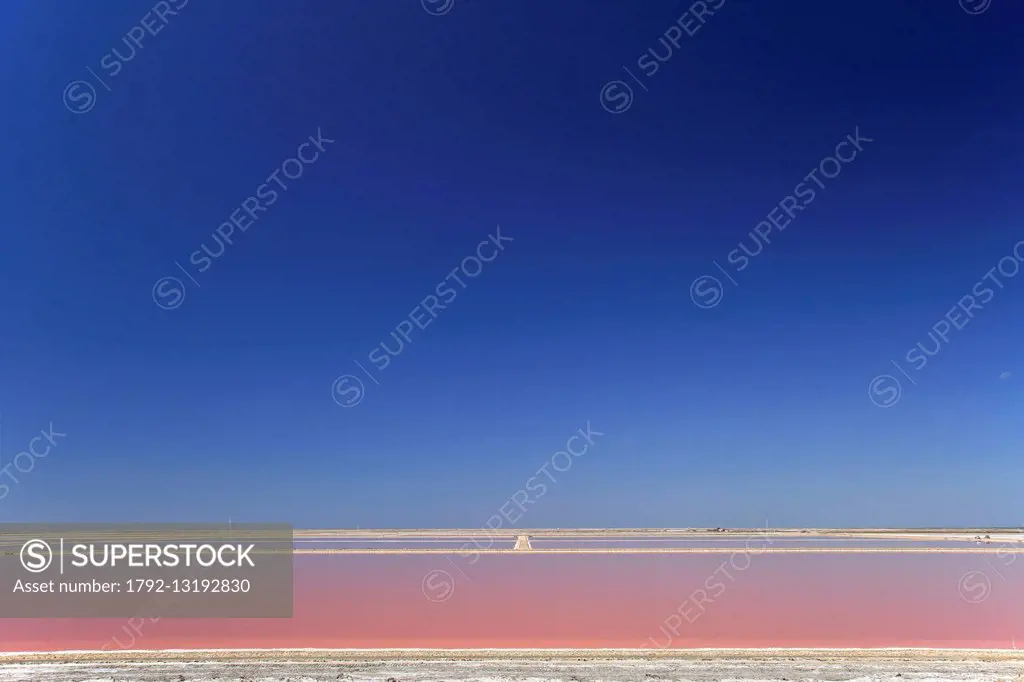 France, Bouches du Rhone, Point of view on the Giraud's Salt marshes at the heart of the Regional Natural reserve of the Camargue