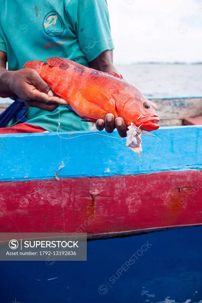 Indonesia, Maluku province, East Seram, Nukus island, fisherman showing his catch