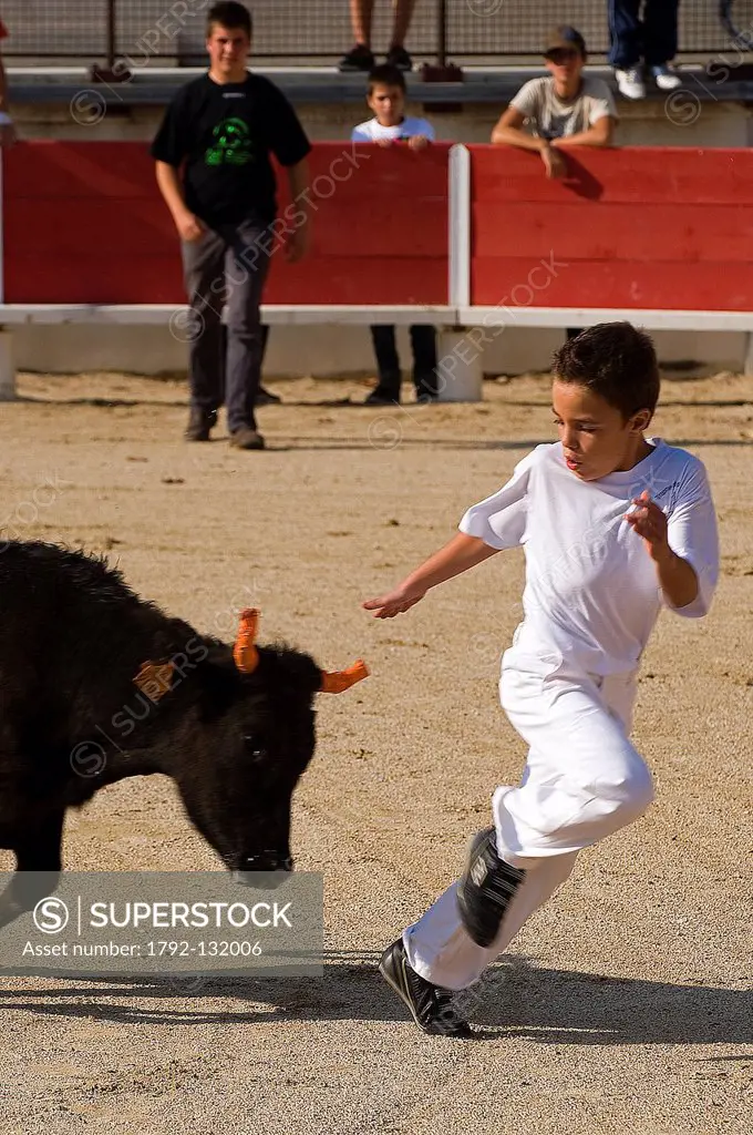 France, Gard, Bellegarde, Trophee des Mini As is a Course camarguaise for children aged 10 to 14, held annually in the bullring