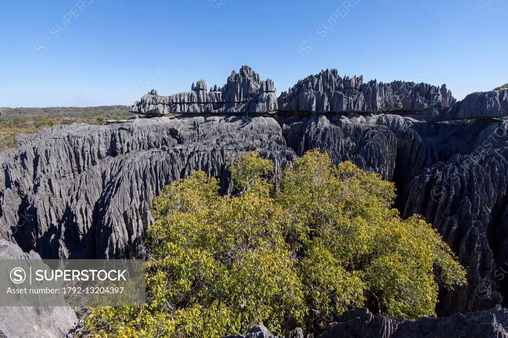Madagascar, Melaky region, Tsingy de Bemaraha National Park, Tsingy de Bemaraha Strict Nature Reserve, listed as World Heritage by UNESCO