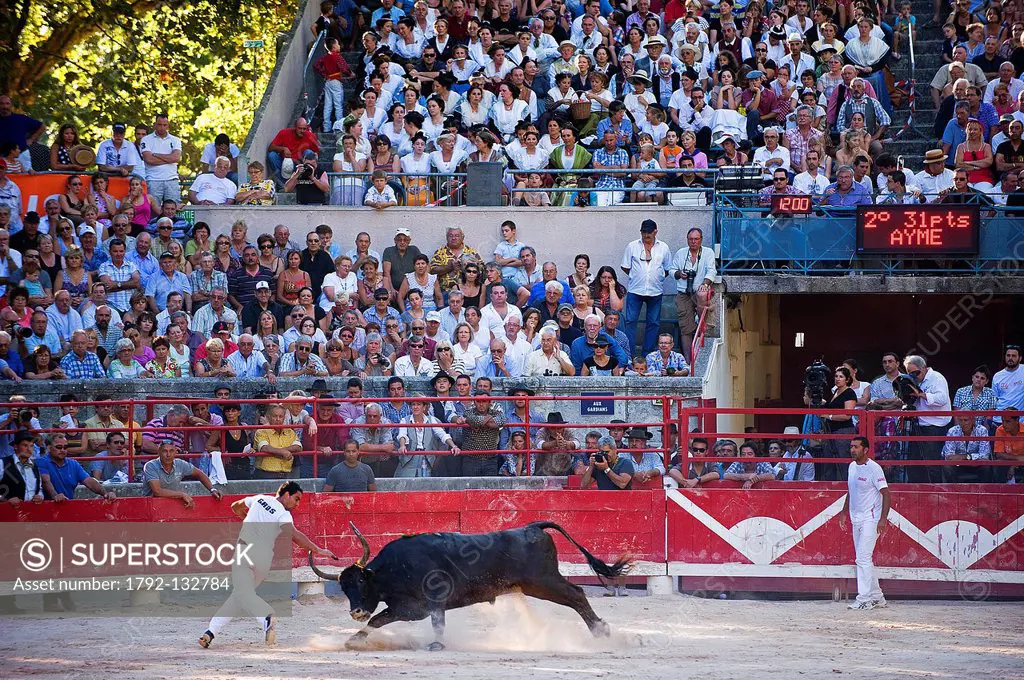 France, Gard, Beaucaire, One of the greatest competition of Course camarguaise called the Palme d´Or, in the roman bullring