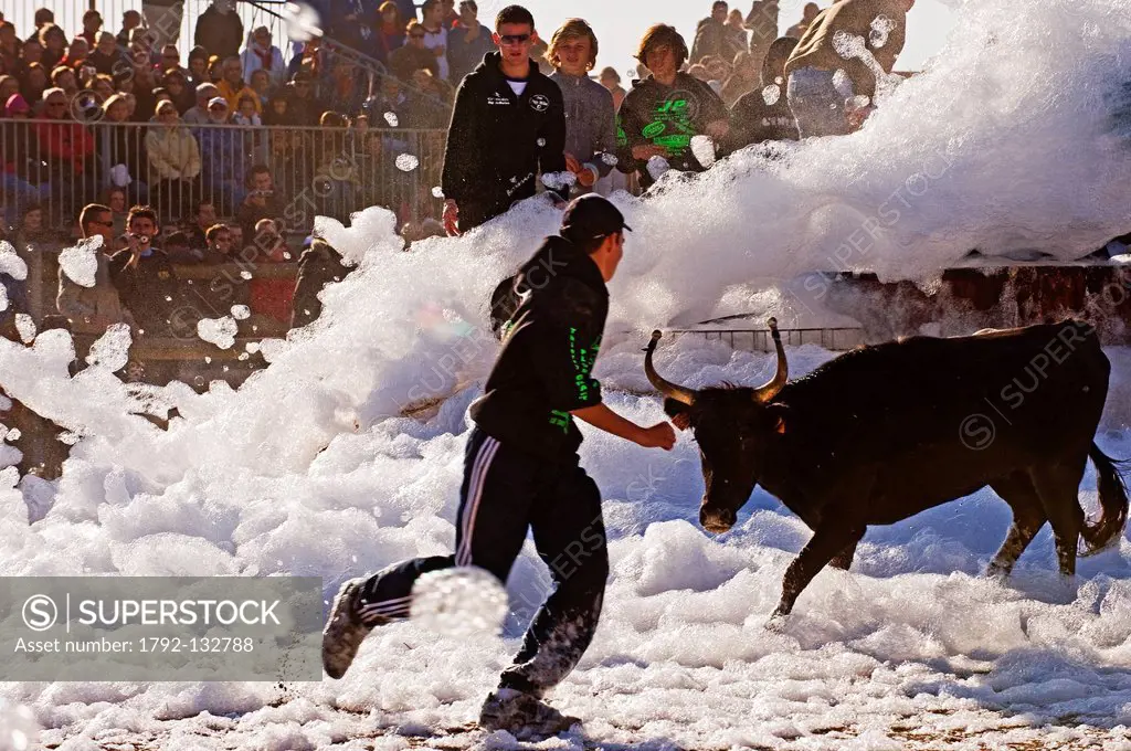 France, Gard, Aigues Mortes, Bull foam game at the foot of the medieval city where the youth exercise in practicing to become raseteurs