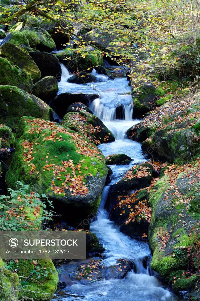 France, Correze, Parc Naturel Regional de Millevaches Millevaches Regional Natural Park, Vezere river in autumn