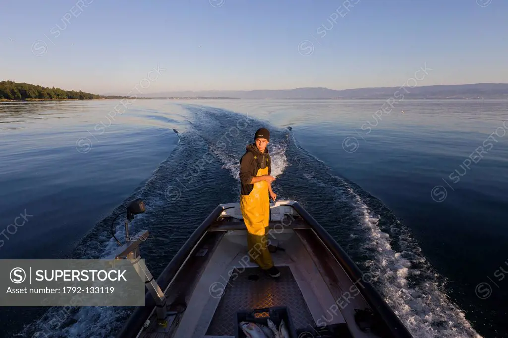 France, Haute Savoie, Le Chablais, Thonon les Bains, return of fishing of feras on the Lake Geneva