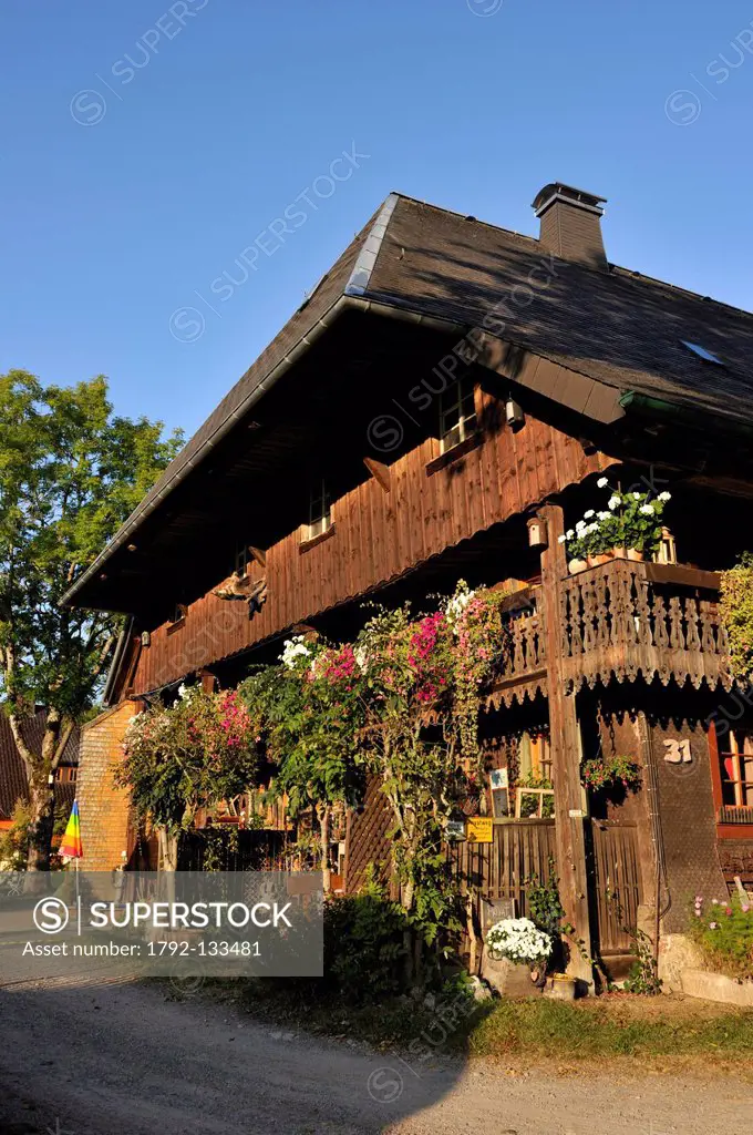 Germany, Black Forest, Schwarzwald, Baden_Wuerttemberg, Titisee lake, Hinterzarten