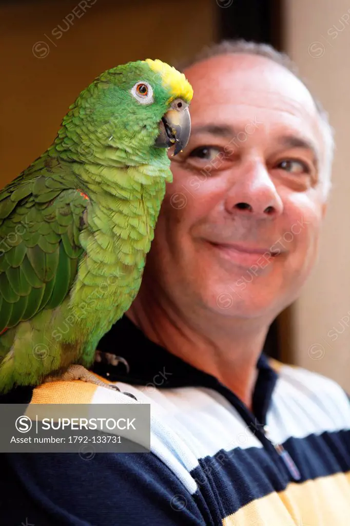 Italy, Venetia, Venice, listed as World Heritage by UNESCO, district of San Polo, venetian with his parrot