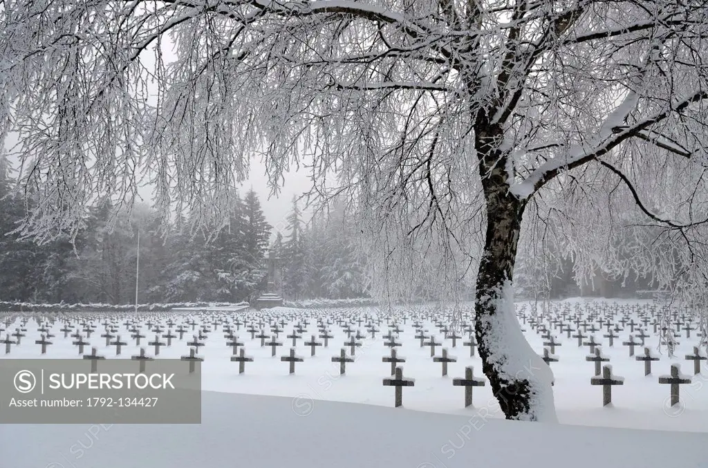 France, Haut Rhin, Massif des Vosges, Col de Wettstein above Orbey, Cimetiere du Linge, military cemetery, War of 1914_1918, winter, snow
