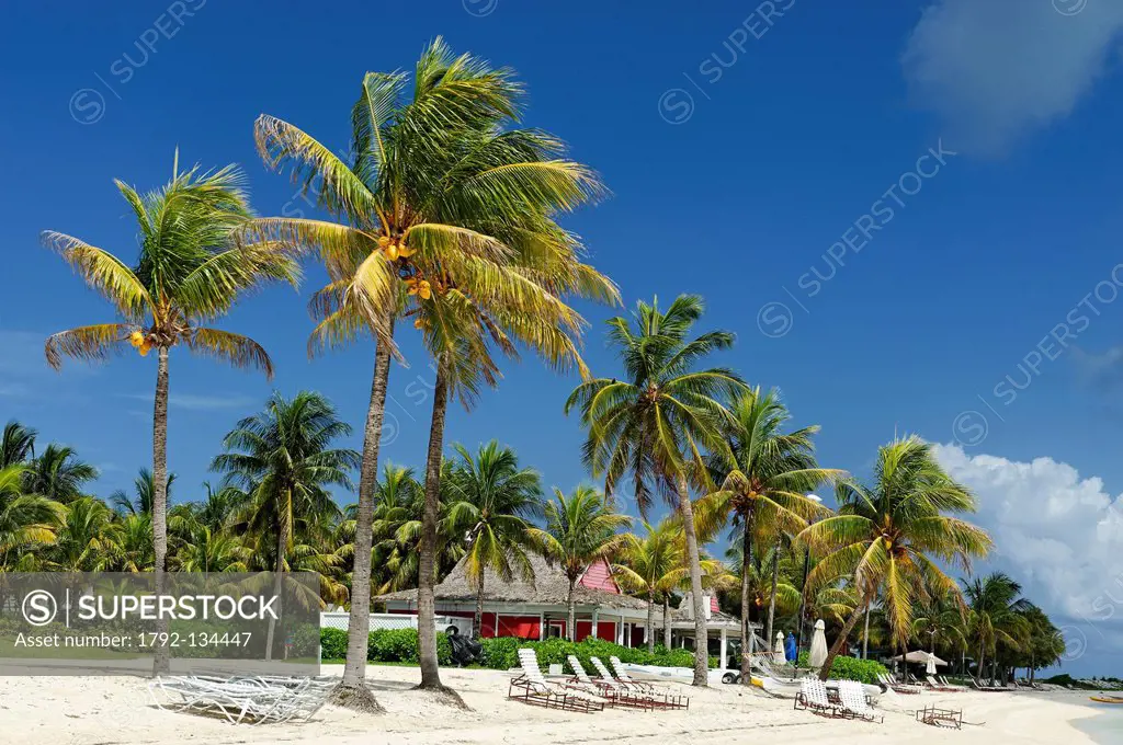 Bahamas, Grand Bahama Island, West End, Old Bahama Bay, white sand beach lined with coconut trees that are home to bungalows