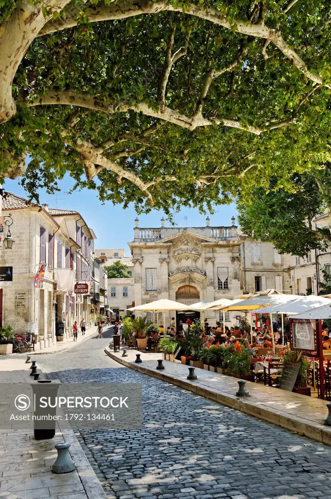 France, Vaucluse, Avignon, Place Crillon, cafe terrace in the shade of plane trees