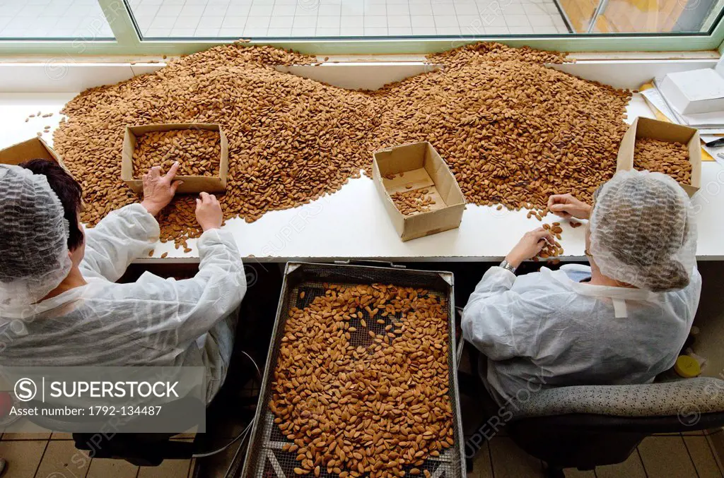France, Meuse, Verdun, Braquier sugared almonds factory, manual sorting of almonds exclusively from Sicily and Spain