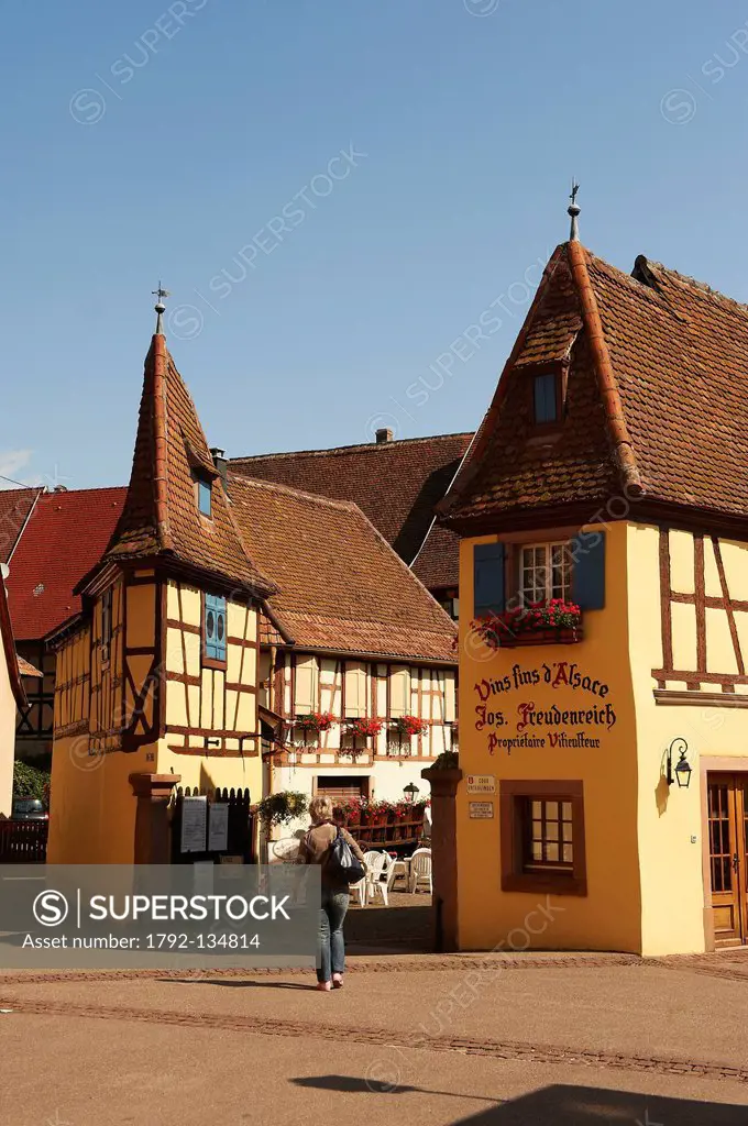 France, Haut Rhin, Alsace Wine Route, Eguisheim, labeled Les Plus Beaux Villages de France The Most Beautiful Villages of France, traditional half tim...