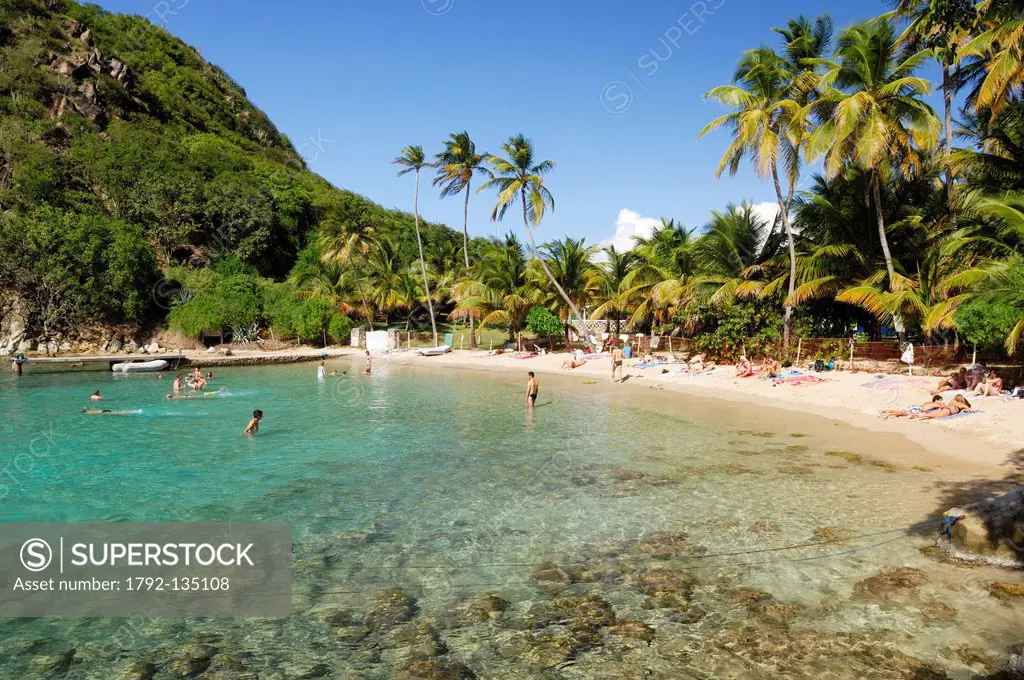 France, Guadeloupe French West Indies, Les Saintes, Terre de Haut, Sugarloaf Cove, swimmers in the crystal clear water of the bay of Sugar Loaf with i...