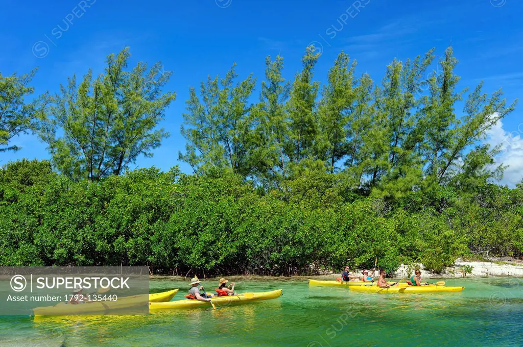 Bahamas, Grand Bahama Island, Old Freetown, Lucayan National Park, Canoe_Kayak thread in mangrove waters of emerald
