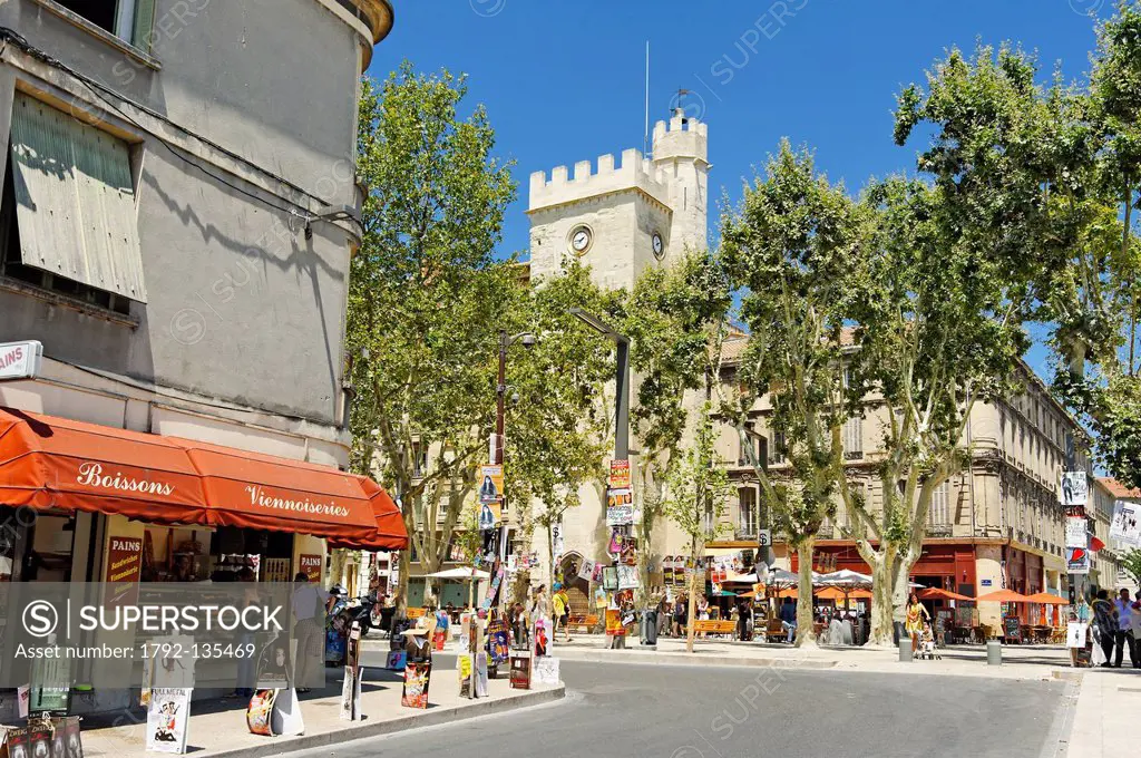 France, Vaucluse, Avignon, Place Pie, street lined with plane trees with the tower of St. John in the background