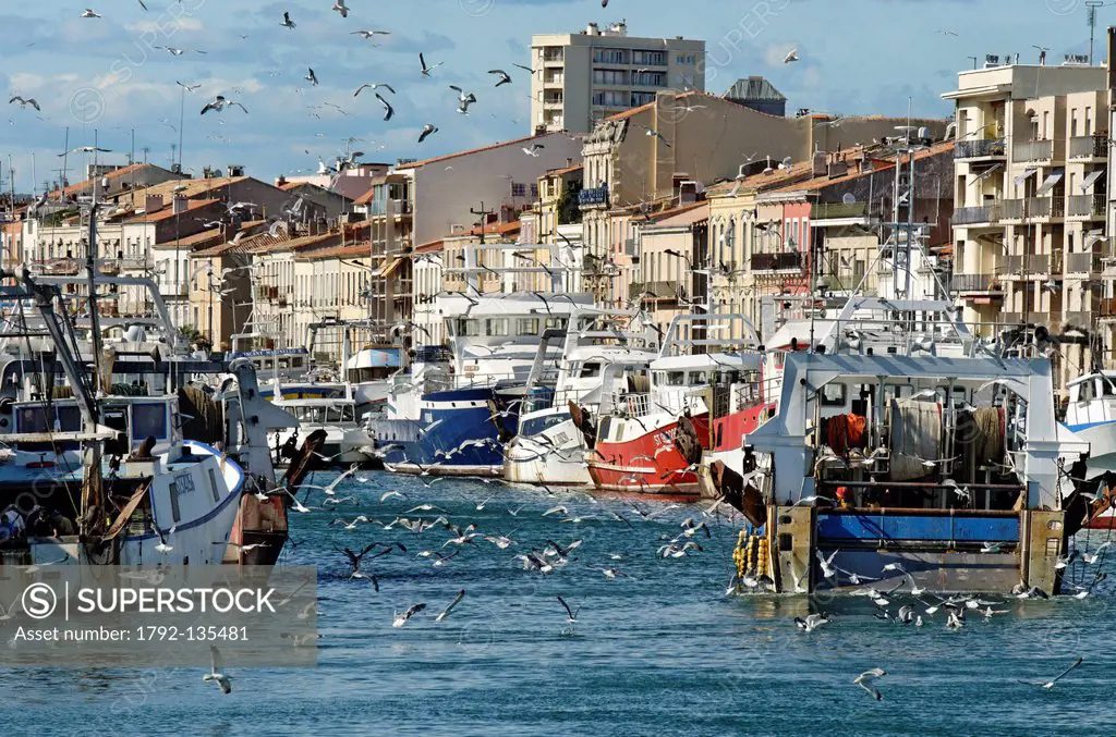 France, Herault, Sete, Royal Canal, Port fishing trawlers returning from their day of fishing followed by their train of seagulls